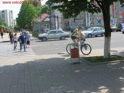 31001.webp