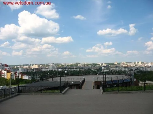31004.webp