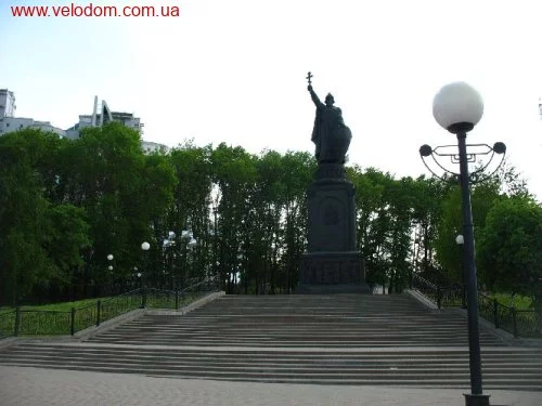 31005.webp