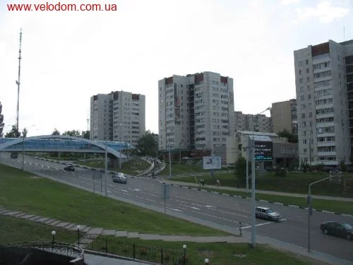 31007.webp