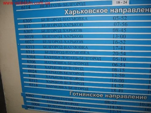 31010.webp