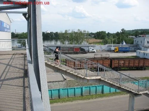 31011.webp