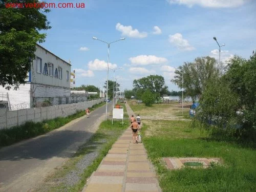 31012.webp
