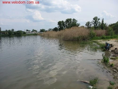 31014.webp