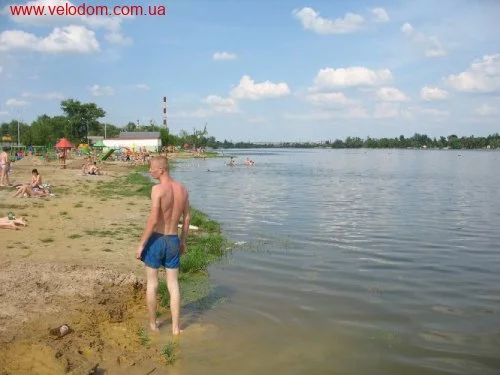 31015.webp