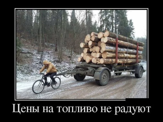 310369.webp