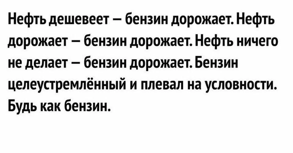 310e991342d2ece1e560d.webp