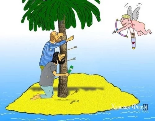 3113d54ee568b8496.webp
