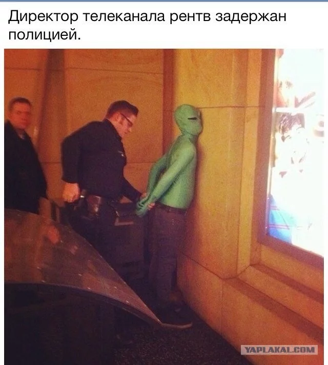 3117269.webp