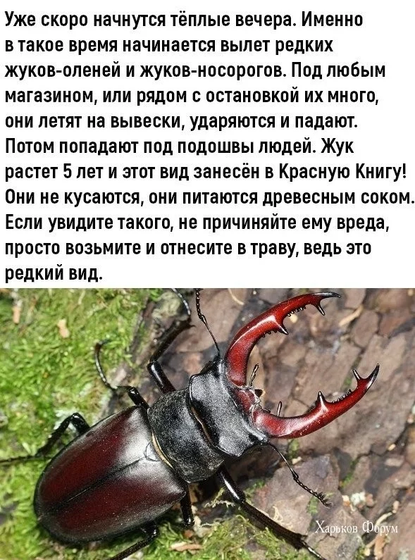3121ea305c3a274202903008.webp