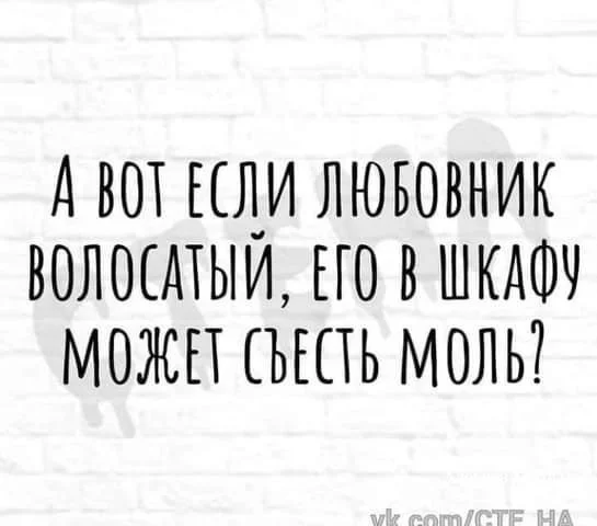 31234fef26f8afb7e3492b6.webp