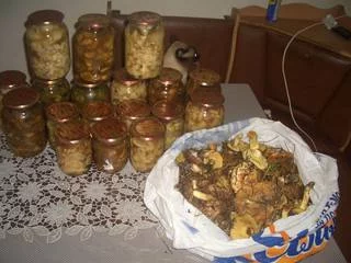 3123720_m.webp