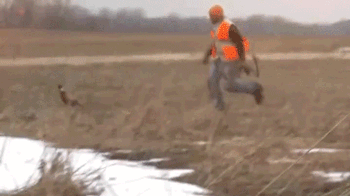 312447_915722.gif