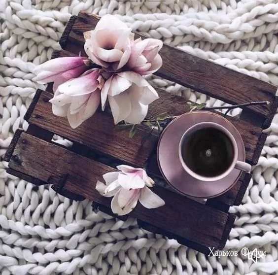 3127edb16e72362f7b01.webp