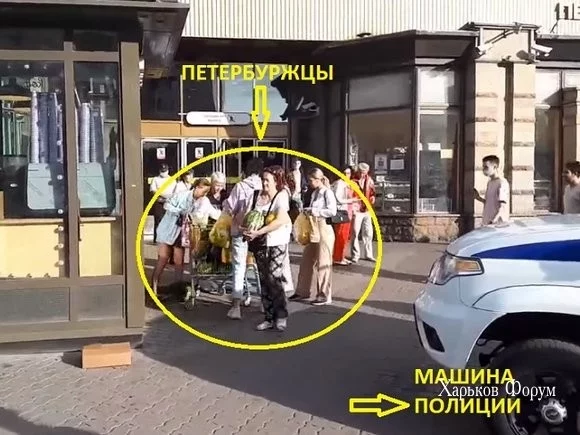 3129ee1bab16656fd21d8.webp