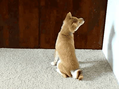 312cb49faadbbcb4cb36dd8946498017.gif