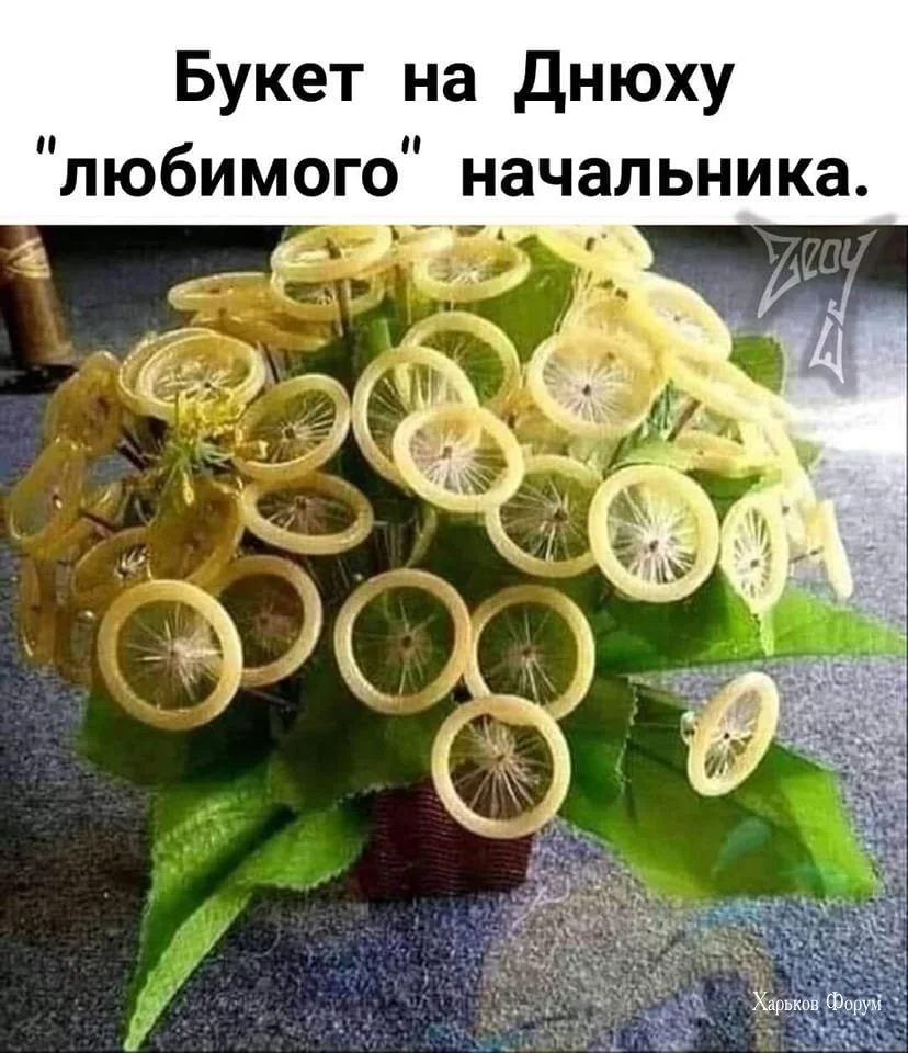313b94bb606b9db90.webp