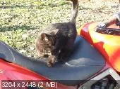 313f00be9cf9779619122a15cc95cbc0.webp