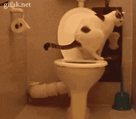 3149afec7099b3957319829d.gif