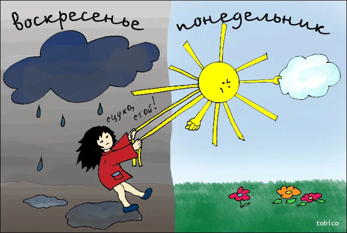 31578143.webp