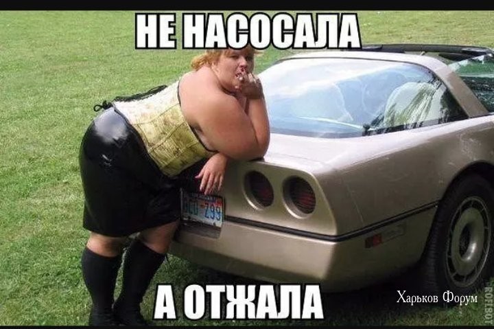 316f86d9e3581d073fd.jpg