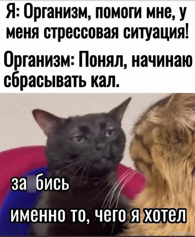 317.webp