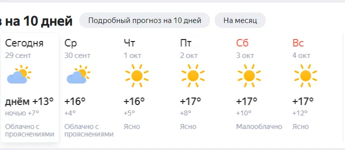 31782231.webp