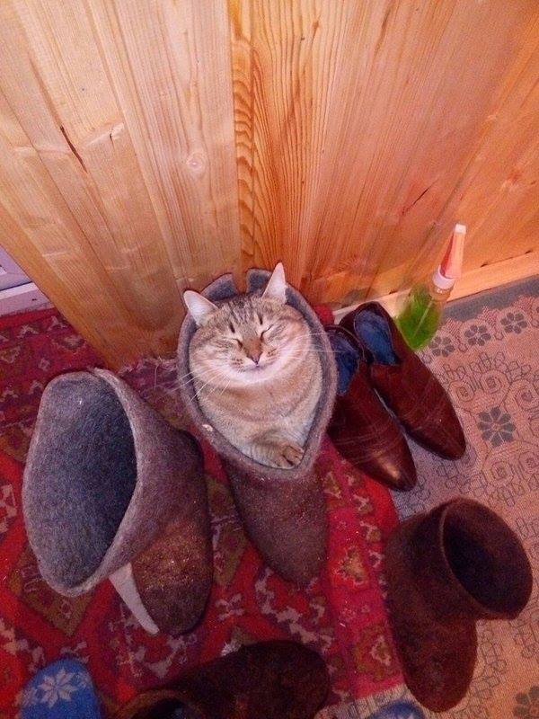 317882_971387.jpg