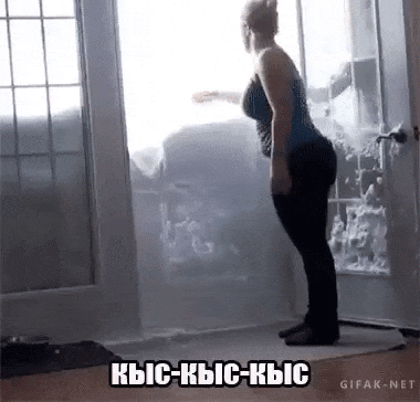 317939.gif