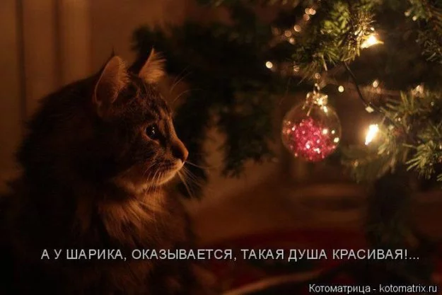 318026.webp