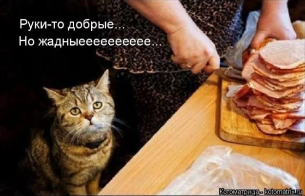 318026_973665.webp