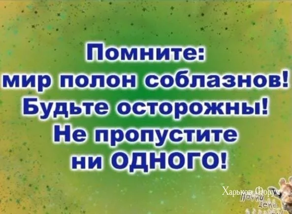3188cdde1868d811d2.webp