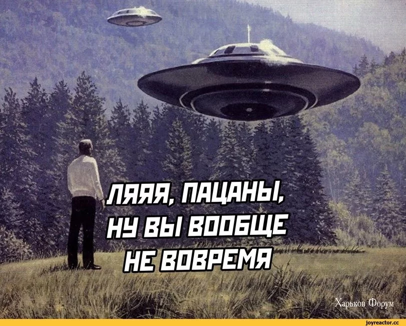 319066c3585e80f4f79edc9.webp