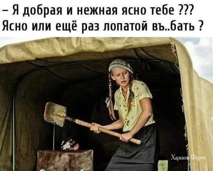31a6680d9bb6eb71bda.webp