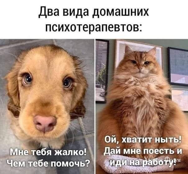 31ac032f47294a3dc0f.jpg