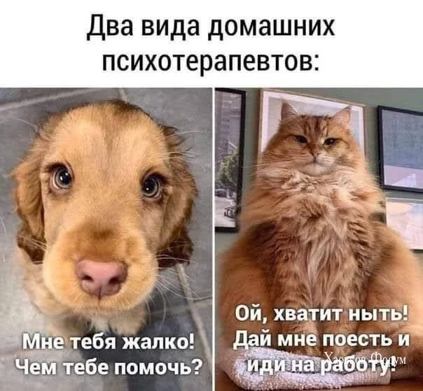 31ac032f47294a3dc0f.webp