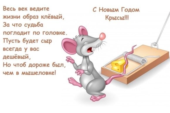 31b1ded13d2aaa1176.jpg