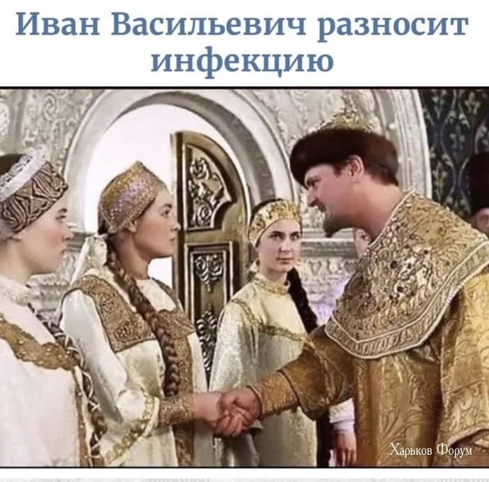 31ba51821fd55531a45ba8.webp