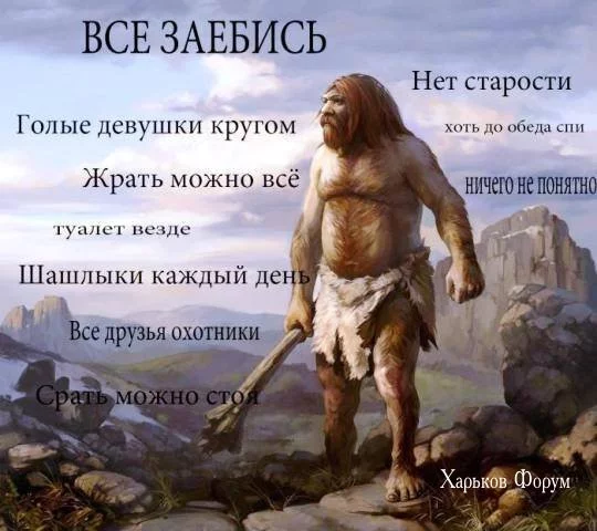 31c96925646a357d61.webp