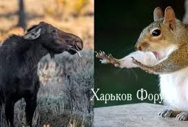 31d61c8039aa9a44940616.webp