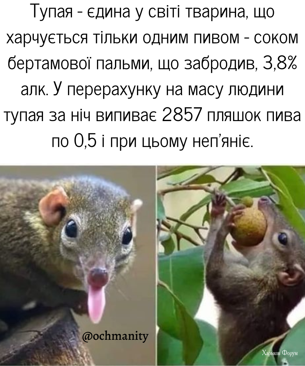 31d66a88f54d1fbe6a2.png