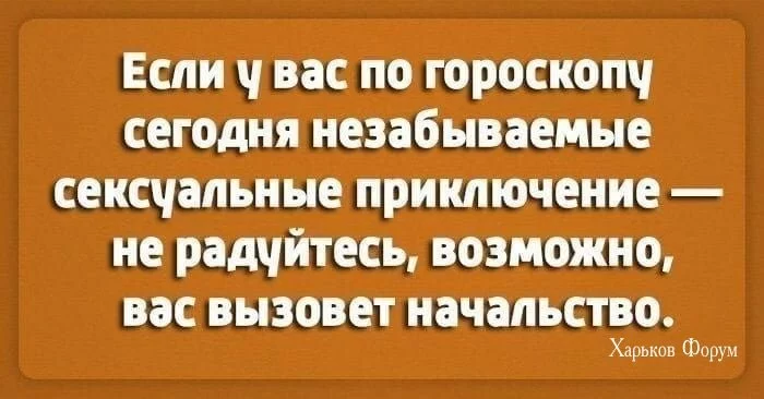 31e4301d0446f7775f0063.webp