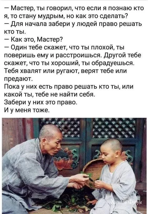 31ed3d04094cff311dd224.webp