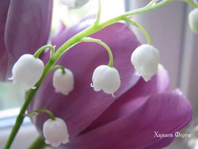 31f2b226f8fb997826aa.webp