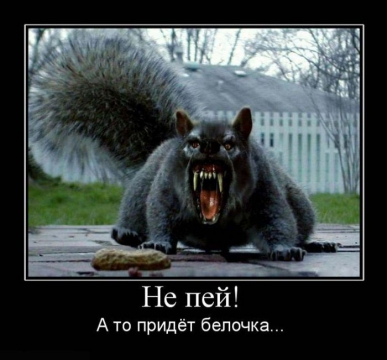 3210949-053ee9e15cbc78bb.jpg