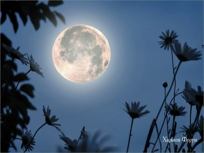 322f6bd776d41808ebb.webp