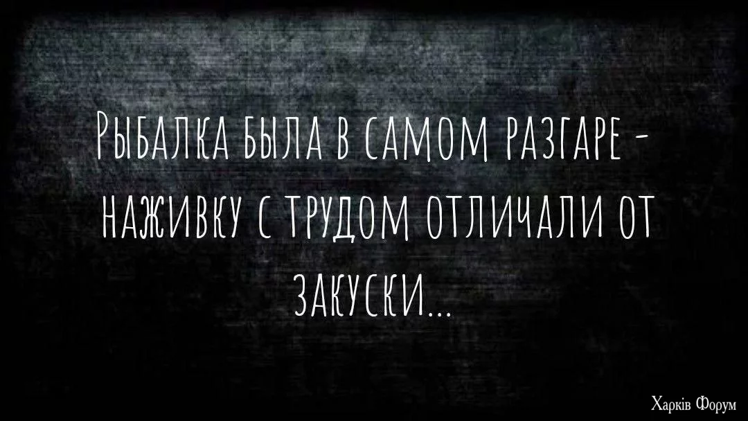 323.webp