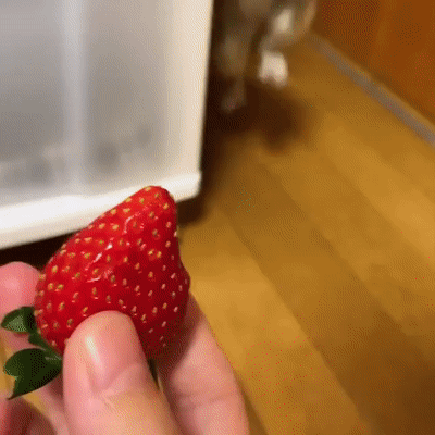 323153145aa5d620a04.gif