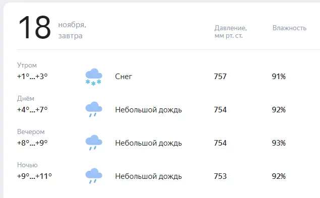 32338997.webp