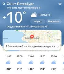 32361156.webp